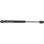 Order Lift Support by URO - 3B5827550G For Your Vehicle