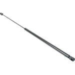 Order Lift Support by URO - 4B0823359C For Your Vehicle