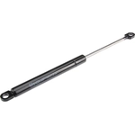 Order Lift Support by URO - 51231906286 For Your Vehicle