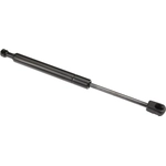 Order Lift Support by URO - 51233400352 For Your Vehicle
