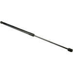 Order Lift Support by URO - 51242990136 For Your Vehicle