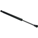 Order Lift Support by URO - 51247129194 For Your Vehicle