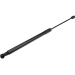 Order Lift Support by URO - 51247148902 For Your Vehicle