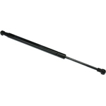 Order URO - 51247250308 - Trunk Strut For Your Vehicle