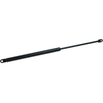 Order Lift Support by URO - 51248103180 For Your Vehicle