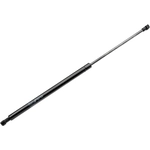 Order Lift Support by URO - 51248232873 For Your Vehicle