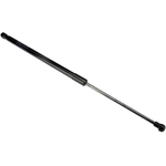 Order Lift Support by URO - 5GM827550 For Your Vehicle