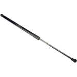 Order Lift Support by URO - 5GM827550 For Your Vehicle