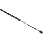 Order Lift Support by URO - 5N0827550D For Your Vehicle