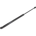 Order Lift Support by URO - 8L0823359 For Your Vehicle