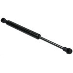 Order URO - 8N0823359 - Passenger Side Hood Lift Support For Your Vehicle