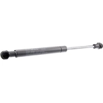 Order Lift Support by URO - 9154605 For Your Vehicle
