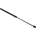 Order Lift Support by URO - 95851135900 For Your Vehicle