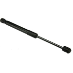 Order Lift Support by URO - 99151155100 For Your Vehicle
