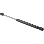 Order Lift Support by URO - 99651255103 For Your Vehicle