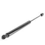 Order VAICO - V10-2160 - Liftgate Lift Support For Your Vehicle