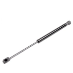 Order VAICO - V20-2871 - Liftgate Lift Support For Your Vehicle