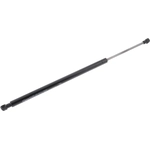 Order Lift Support by VAICO - V48-0322 For Your Vehicle