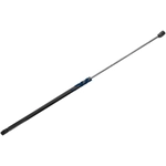 Order Lift Support by VAICO - V10-2083 For Your Vehicle