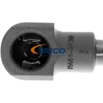 Order Lift Support by VAICO - V10-2693 For Your Vehicle