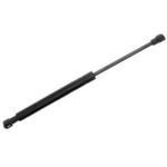 Order Lift Support by VAICO - V20-0982 For Your Vehicle