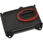 Order Lighting Ballast by BLUE STREAK (HYGRADE MOTOR) - HID141 For Your Vehicle