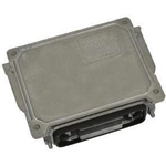 Order Lighting Ballast by BLUE STREAK (HYGRADE MOTOR) - R66074 For Your Vehicle