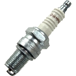 Order Spark Plug by CHAMPION SPARK PLUG - 9810 For Your Vehicle