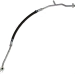 Order Liquid Line/Hose by GLOBAL PARTS DISTRIBUTORS - 4812097 For Your Vehicle
