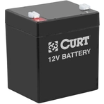 Order Lockable Breakaway System by CURT MANUFACTURING - 52040 For Your Vehicle