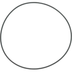 Order DANA SPICER - 54983 - Locking Hub O-Ring For Your Vehicle
