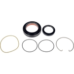 Order DORMAN (OE SOLUTIONS) - 600-207 - Locking Hub Seal Kit For Your Vehicle