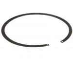 Order Locking Ring by DELPHI - FA10022 For Your Vehicle