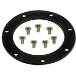 Order Locking Ring by DORMAN (OE SOLUTIONS) - 579-032 For Your Vehicle