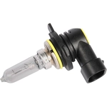 Order ACDELCO - 13587719 - Halogen Bulb For Your Vehicle