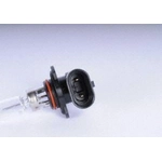 Order Low Beam Headlight by ACDELCO PROFESSIONAL - 9005 For Your Vehicle