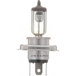 Order Low Beam Headlight by PHILIPS - 9003PRB2 For Your Vehicle