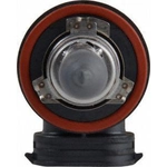 Low Beam Headlight by PHILIPS - H11C1