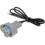 Order Low Beam Headlight Socket by DORMAN/CONDUCT-TITE - 84784 For Your Vehicle