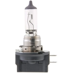Order WAGNER - BP1255H11B - Multi-Purpose Light Bulb For Your Vehicle