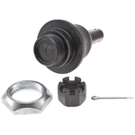 Order Lower Ball Joint by CHASSIS PRO - TK80591 For Your Vehicle