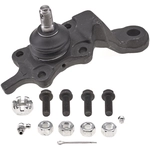 Order Lower Ball Joint by CHASSIS PRO - TK90258 For Your Vehicle