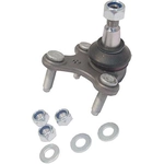 Order DELPHI - TC1317 - Lower Ball Joint For Your Vehicle