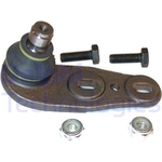 Order Lower Ball Joint by DELPHI - TC348 For Your Vehicle