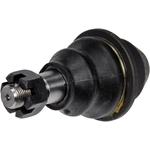 Order Lower Ball Joint by DORMAN (OE SOLUTIONS) - 535-790 For Your Vehicle