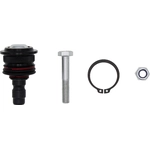 Order Lower Ball Joint by DORMAN (OE SOLUTIONS) - 538-382 For Your Vehicle