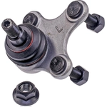 Order Lower Ball Joint by DORMAN (OE SOLUTIONS) - 538-811 For Your Vehicle