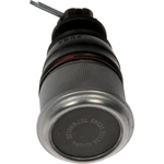 Order Lower Ball Joint by DORMAN (OE SOLUTIONS) - 539-730 For Your Vehicle
