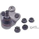 Order Lower Ball Joint by DORMAN (OE SOLUTIONS) - 539-771 For Your Vehicle