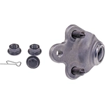 Order Lower Ball Joint by DORMAN (OE SOLUTIONS) - 539-772 For Your Vehicle